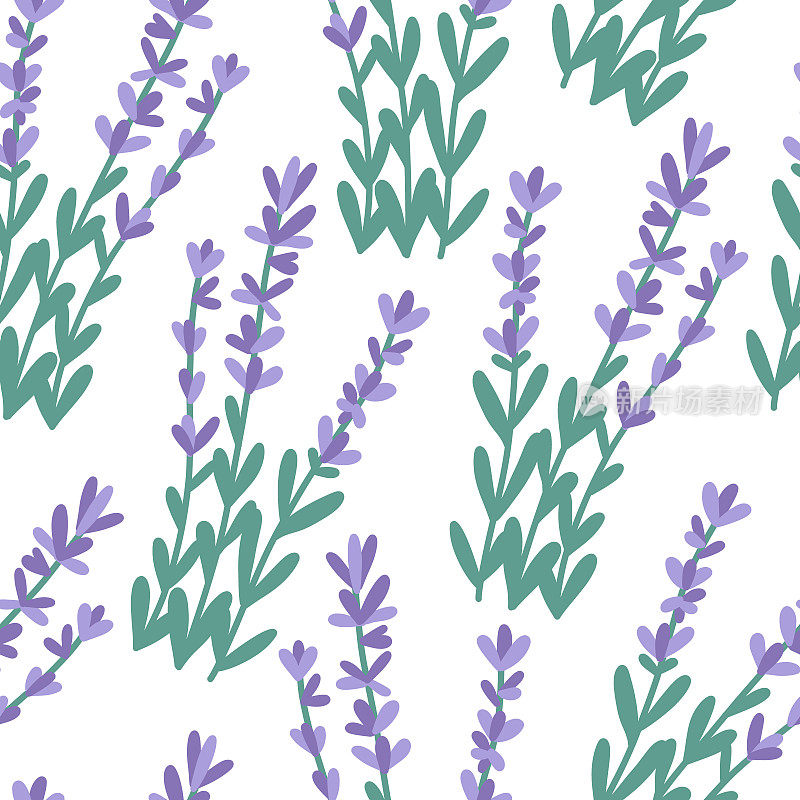 Hand drawn seamless pattern with lavender bunches, flat vector illustration on white background.